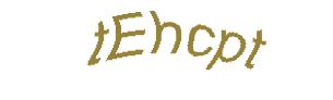 عبارت امنیتی