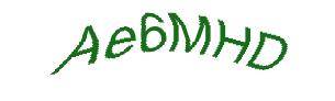 عبارت امنیتی