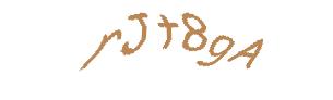 عبارت امنیتی