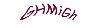 عبارت امنیتی