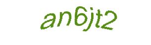 عبارت امنیتی