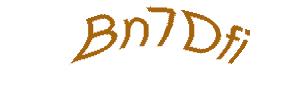 عبارت امنیتی