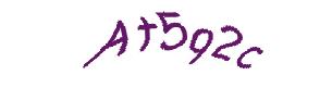 عبارت امنیتی
