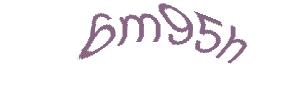 عبارت امنیتی