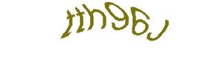 عبارت امنیتی
