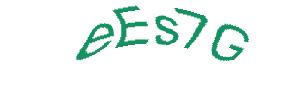 عبارت امنیتی