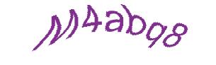 عبارت امنیتی