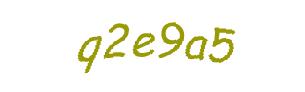 عبارت امنیتی