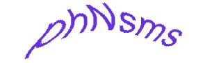 عبارت امنیتی