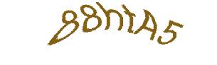 عبارت امنیتی