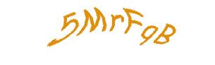 عبارت امنیتی