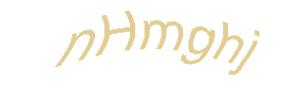 عبارت امنیتی