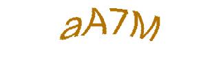 عبارت امنیتی