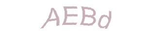 عبارت امنیتی