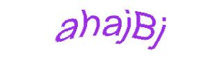 عبارت امنیتی