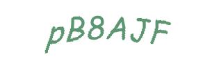 عبارت امنیتی
