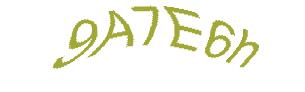 عبارت امنیتی