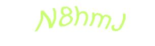 عبارت امنیتی
