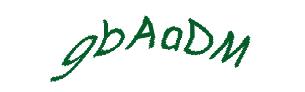 عبارت امنیتی