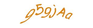 عبارت امنیتی