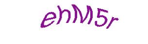 عبارت امنیتی