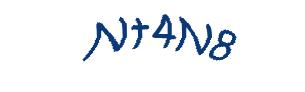 عبارت امنیتی