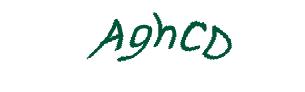عبارت امنیتی