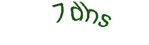 عبارت امنیتی