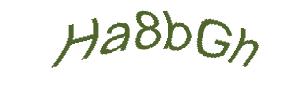عبارت امنیتی