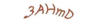 عبارت امنیتی