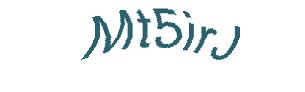 عبارت امنیتی