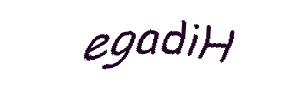 عبارت امنیتی