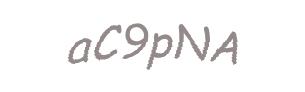 عبارت امنیتی