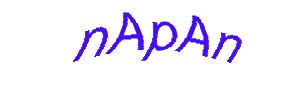 عبارت امنیتی