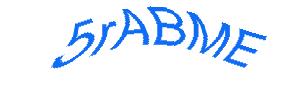 عبارت امنیتی
