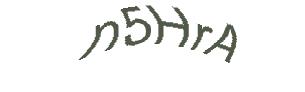 عبارت امنیتی