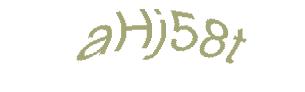 عبارت امنیتی