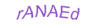 عبارت امنیتی