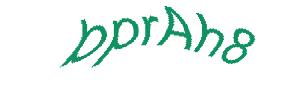 عبارت امنیتی