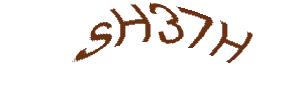 عبارت امنیتی