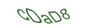 عبارت امنیتی