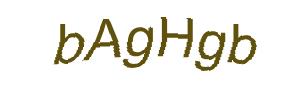 عبارت امنیتی