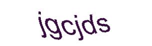 عبارت امنیتی