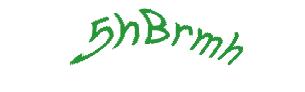 عبارت امنیتی