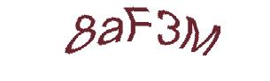 عبارت امنیتی