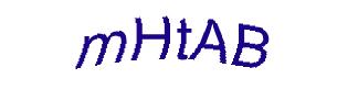 عبارت امنیتی