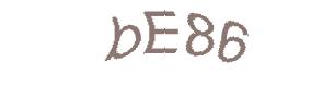 عبارت امنیتی