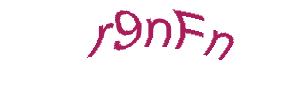 عبارت امنیتی