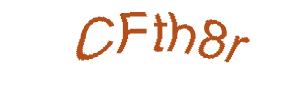 عبارت امنیتی