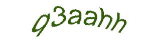 عبارت امنیتی